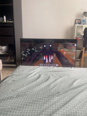 Minecraft +mimicer