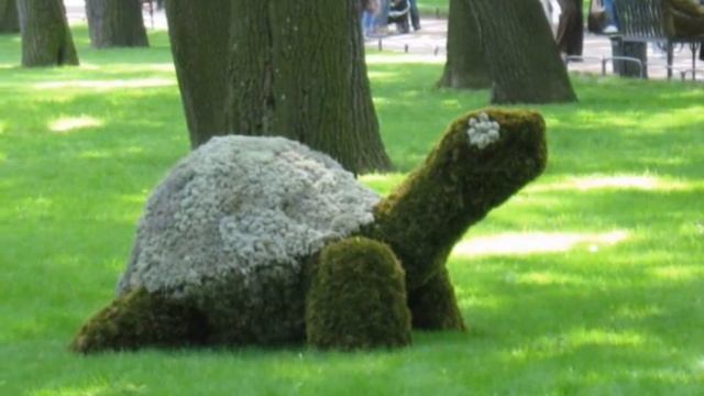 Цветочная прогулка (Floral walk) смотреть онлайн