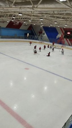 хоккей