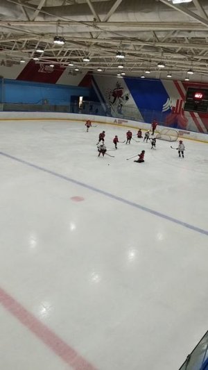 хоккей