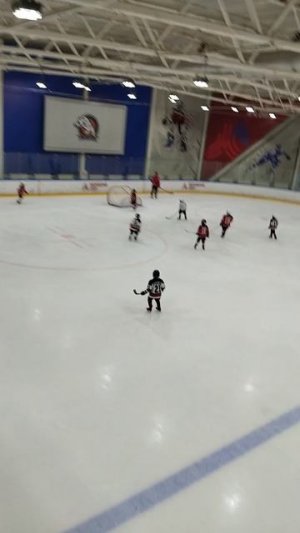 хоккей