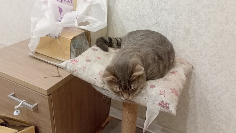 отдых в деревне