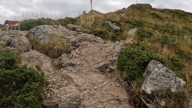 Бай Ганьо в "Стара планина" - Връх Ботев смотреть онлайн