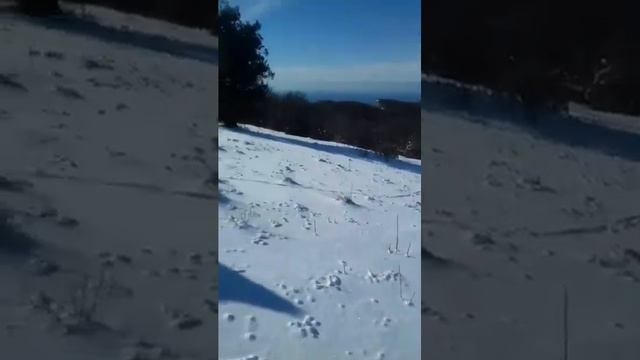 23. 01. 22. ПВД Куш - Кая прогулка по лесу