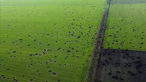 КАК ДЕЛА СЛУЖИВЫЙ🔥(И.Карпов)🔥🔥🔥