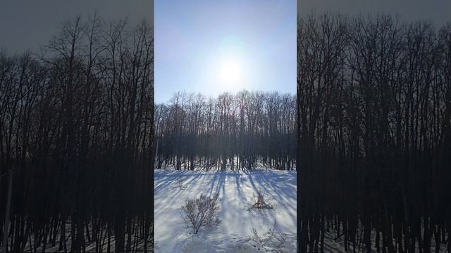 Поездка во 2 корпус/заключительный день в санатории"Чучкалова'.😘 смотреть онлайн