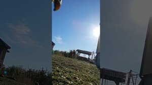 я играю в футбол.