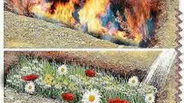 Азоби кабр смотреть онлайн