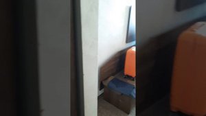 Номер в отеле "Flamingo Beach Hotel",  Фламинго Бийч хотел, Болгария, Солнечный берег.🌴