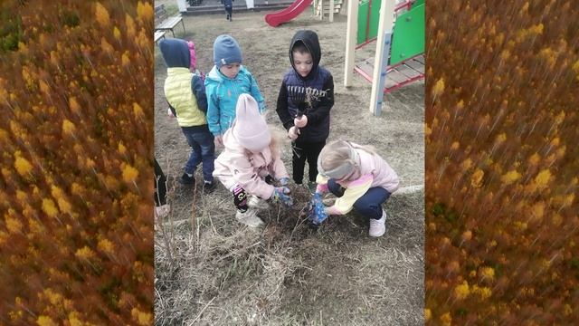 Я Воспитатель