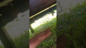 Опрыскиватель своими руками на трактор 🚜 Т-25.