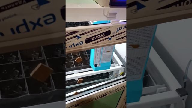 1000034949.mp4