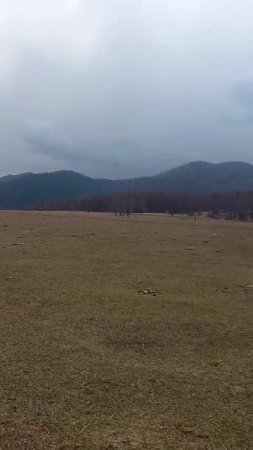 Обкатываю мопед Альфа M1RC50 выезд на природу👋👍