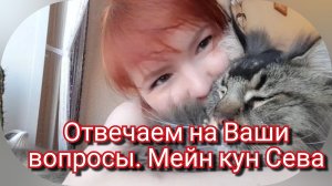 Рубрика отвечаем на Ваши вопросы. Мейн кун Сева.