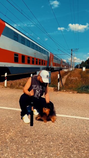 Кусочек со съёмок #съемки #поезд #съемкапроекта #шпиц смотреть онлайн