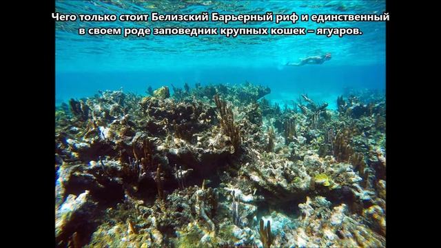 V31NC Белиз. С сайта dxnews.com смотреть онлайн