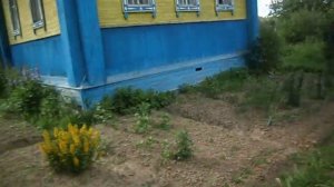 Один день  на  даче  с  бабушкой на  200.Домик в  деревне.Сенокос, стирка, баня.