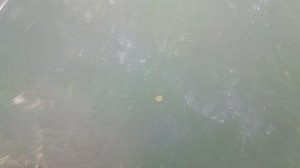 мертвая дорога