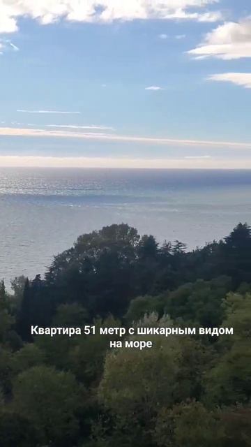 Сочи, рядом санаторий Орджоникидзе, 10 минут пешком до моря, двухкомнатная квартира 51 кв метр. 11 смотреть онлайн