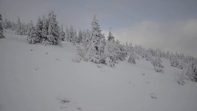 Драгобрат креселка спуск