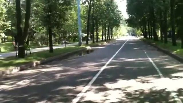 Мистер Лось смотреть онлайн