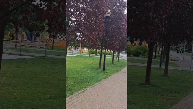 #паркарена #аренаворонеж аренапарк #паркворонежа #паркразвлечений #аллеяпамятивпаркевдв #аллеяпамяти