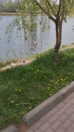 На набережной Донецка