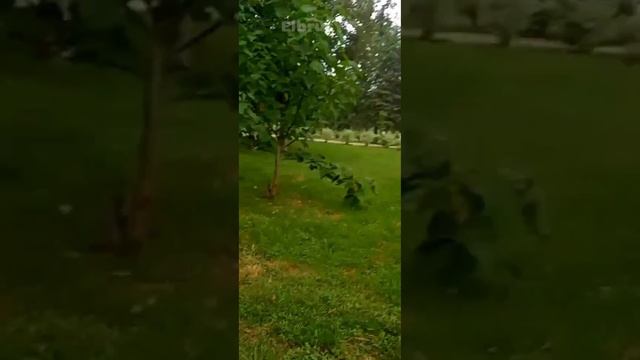 НОВАЯ И Самая КРАСИВАЯ #набережная #озеро #ессентуки