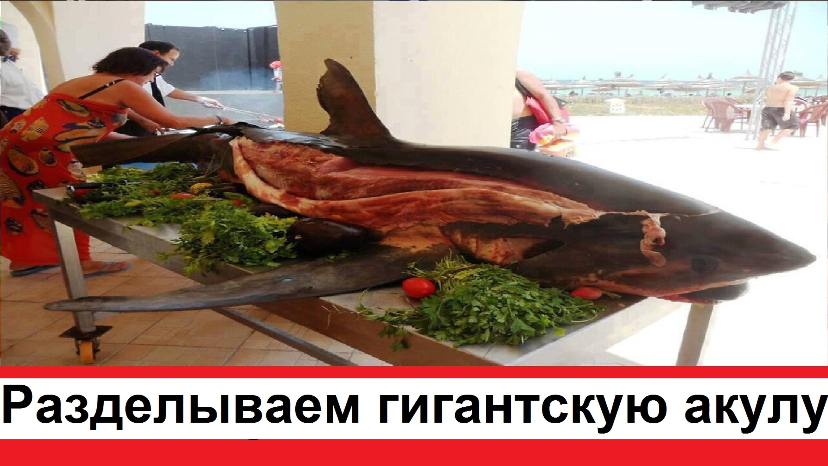 Разделываем гигантскую акулу на стейки