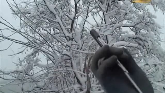 Подводная охота (А.Кочубей): Охота на сазана