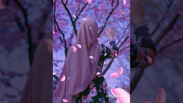 #новая песня -2023 года для душы 🍃🥀🙃❤️ смотреть онлайн