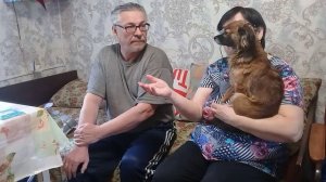Жизнь в деревне. Весна - 26-04-25. Они по всюду !