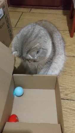 Микис с мячиком