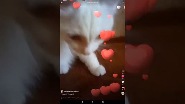 Мой канал ( страница ) в LIKE смотреть онлайн