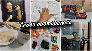Снова гости Обзор покупок. Быстрый перекус из лаваша. Делаем домашнее задание 2 класс