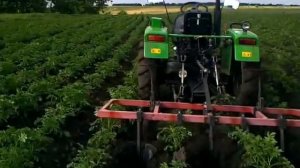 Минитрактор китайский ДТЗ 244-4 окучивание.