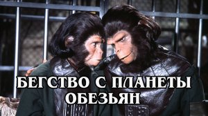 Бегство с планеты обезьян