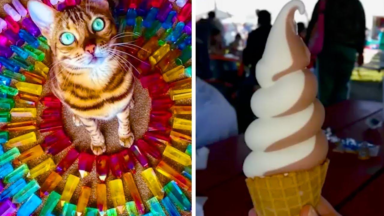 Перфекционизм в мире простых вещей