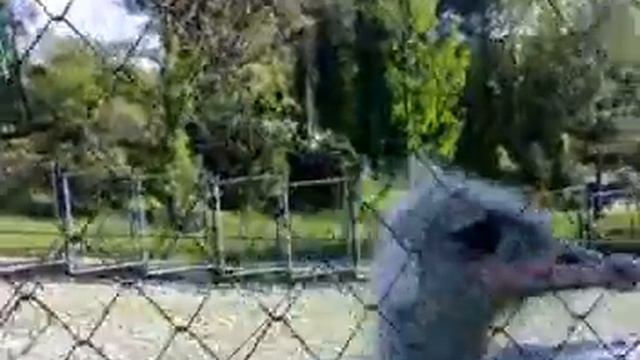 ПрЮвет, НаСяльника ! смотреть онлайн