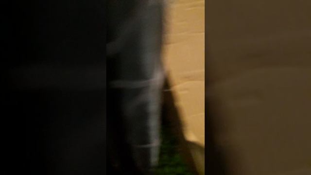 Я со снежкой сбежали мы с тюрьмы на свободу но там вылечили женщину мы смогли отстоять эти челлендж смотреть онлайн