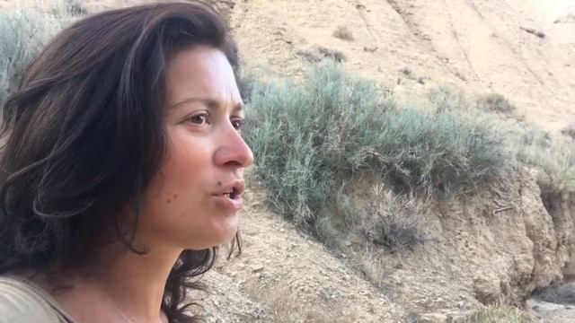 Песни странствий/Чёрный ворон смотреть онлайн