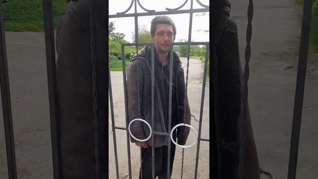 Пёс шалудивый, часть 1 смотреть онлайн