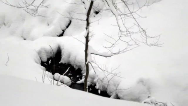 Трускавець прогулянка по бульвару Торосевича зима 2018 (частина 2) смотреть онлайн