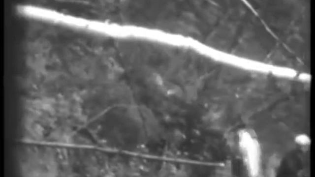 Соколиный 1988