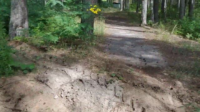 Бабочка в санатории Затишье. смотреть онлайн