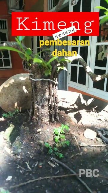 Menunggu itu perlu kesabaran,  seberapa lama kita menunggu? FREE PALESTINA смотреть онлайн