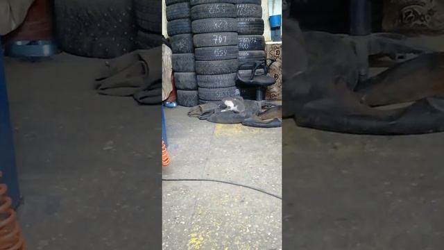 Латочка смотреть онлайн