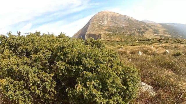 Покорення Говерли смотреть онлайн