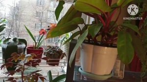 Продолжение обзоров