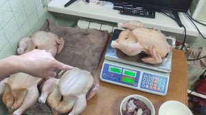 Забой бройлеров,  вес тушек в 43 дня